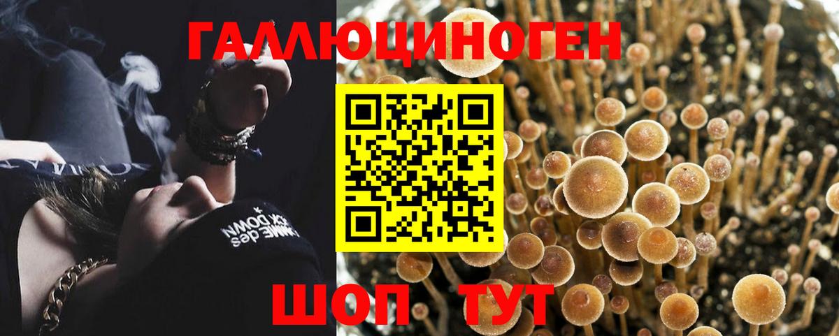 Псилоцибиновые грибы ЛСД Ачхой-Мартан